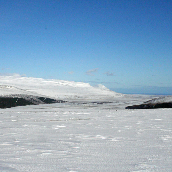 Á Fljótsheiði: Fellsskógur (t.v.) og Fossselsskógur.