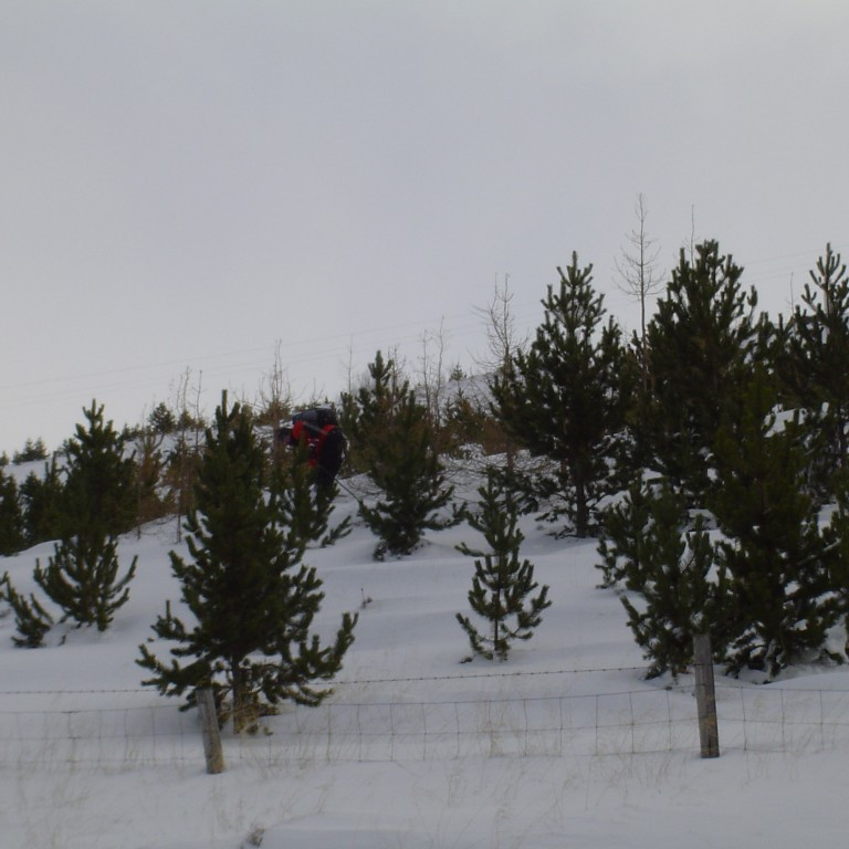 forsida-16-4432a0a9f2481-1