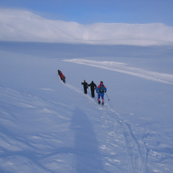 Marrið hætti þegar komið var í ótroðinn snjó.