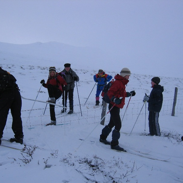 Fjóla sýnir hvernig fara á yfir girðingu.