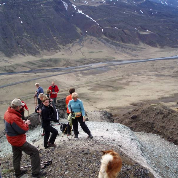 Mikið spáð í þennan ljósa lit.