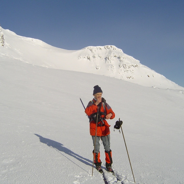 Fararstjórinn og uppgangan.