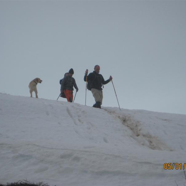 Hér eru þeir síðustu að ljúka göngunni, Snati, Tómas, Mano og Konni.