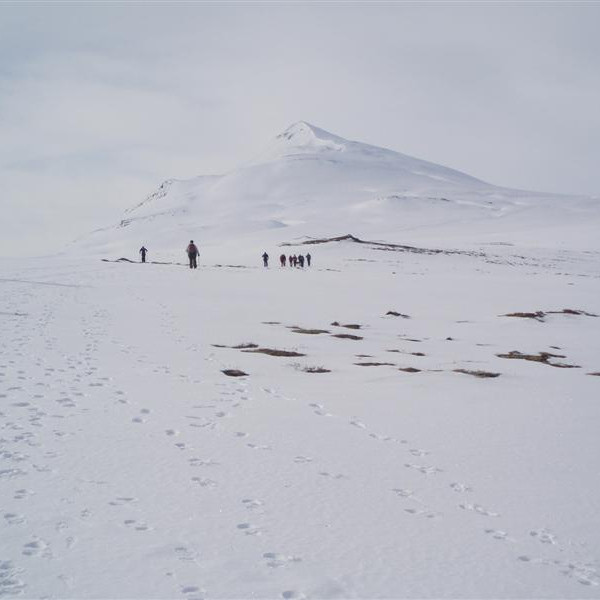 Súlurnar skarta sýnu fegursta.