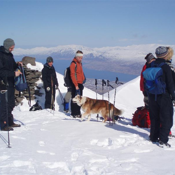 Hundurinn Númi úr Lækjargilinu mættur á Syðri-Súlu í fyrsta sinn. Útsýnið var stórkostlegt.