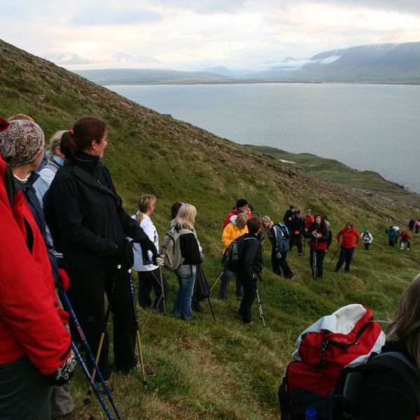 forsida-54-467efabfc6820-1