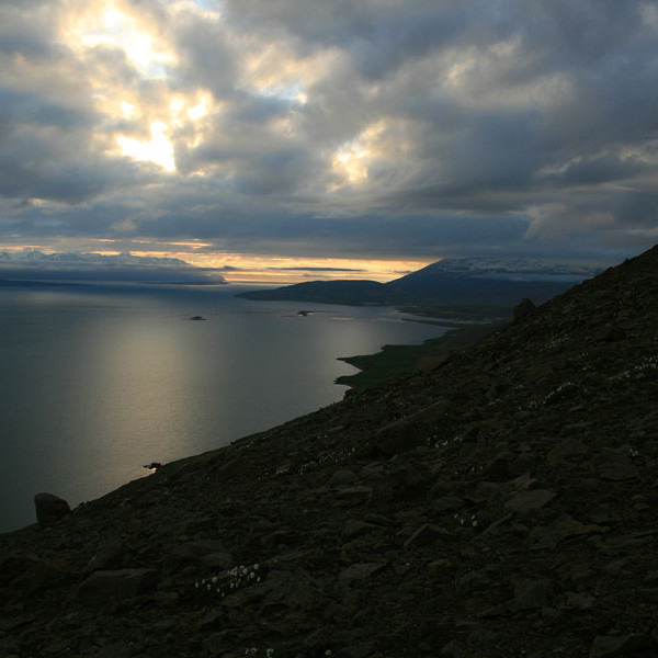 forsida-54-467efafd8fab7-1