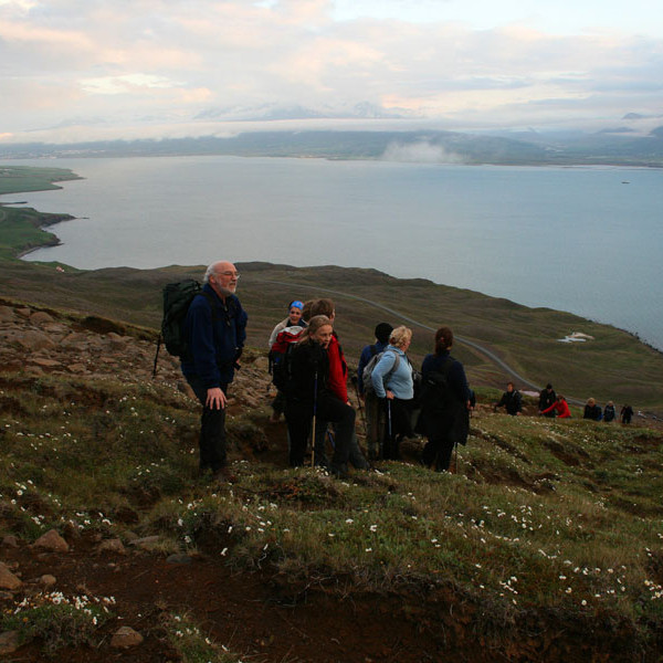 forsida-54-467efb16de4f2-1