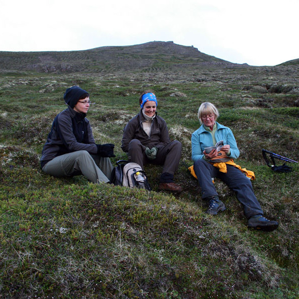 forsida-54-467efb6c18774-1