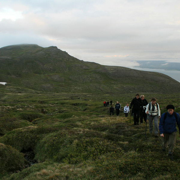 forsida-54-467efb7ea2cc8-1