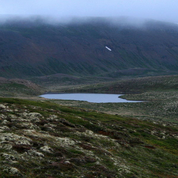 forsida-54-467efb8fad3b0-1