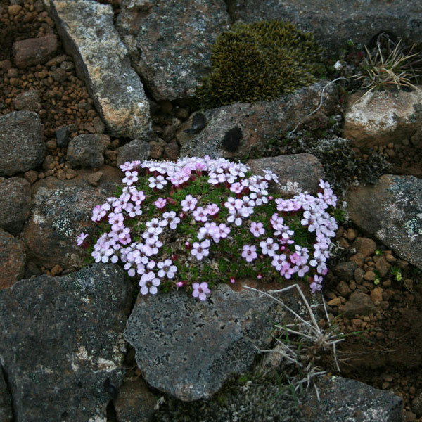 forsida-54-467efbdd1e37c-1