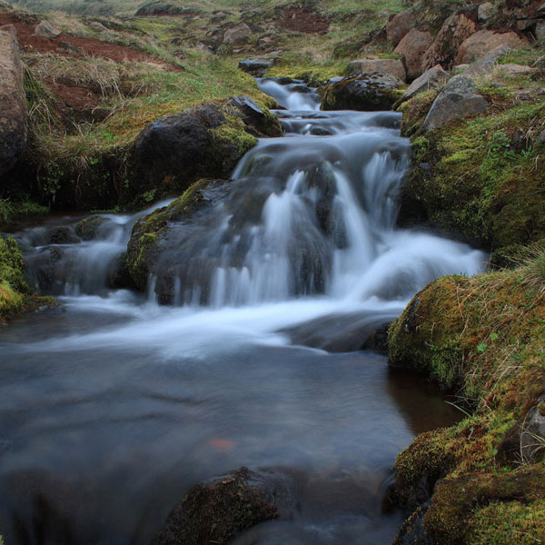 forsida-54-467efc668feb6-1