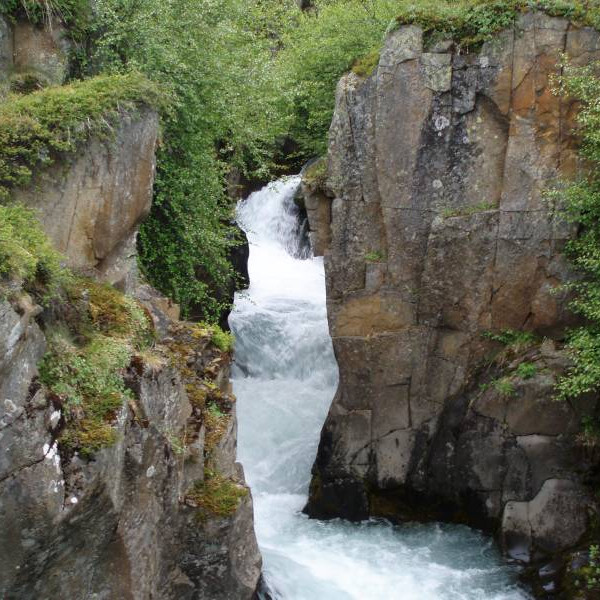 Þar sem gilið er þrengst er töluverður gróður.