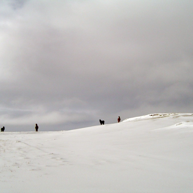 forsida-45-45f528ffb3636-1