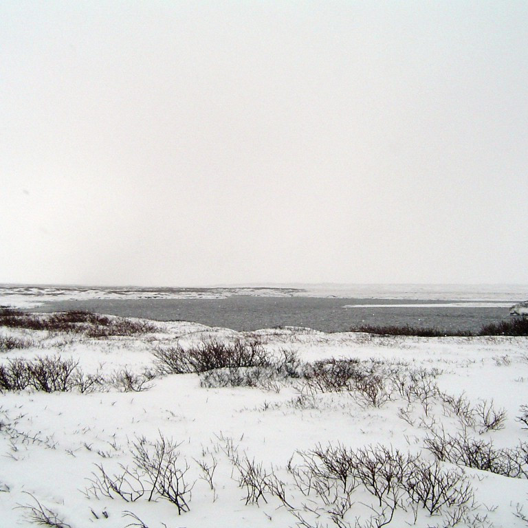 forsida-45-45f52f9b9f69b-1