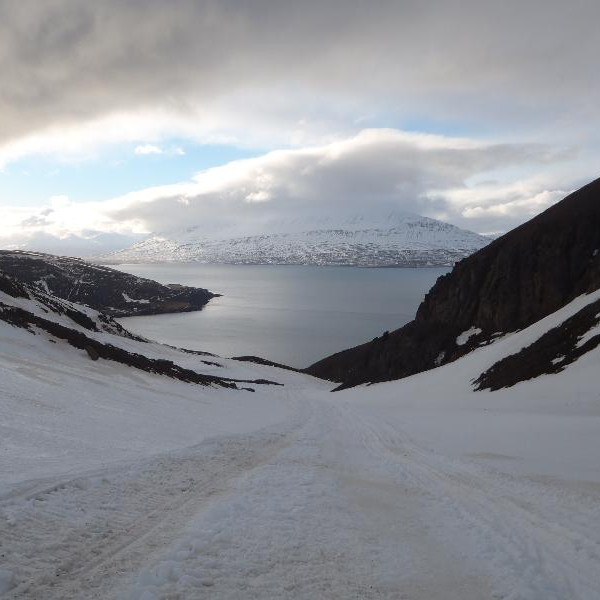 Séð niður Grenjárdal