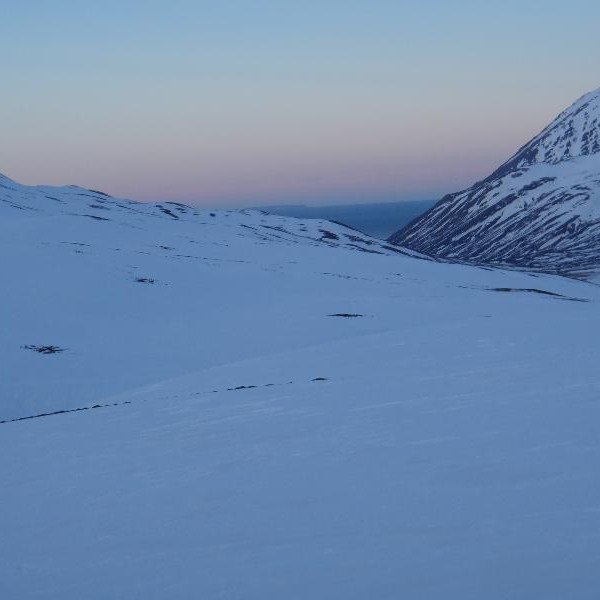 Grímsey við sjóndeildarhring