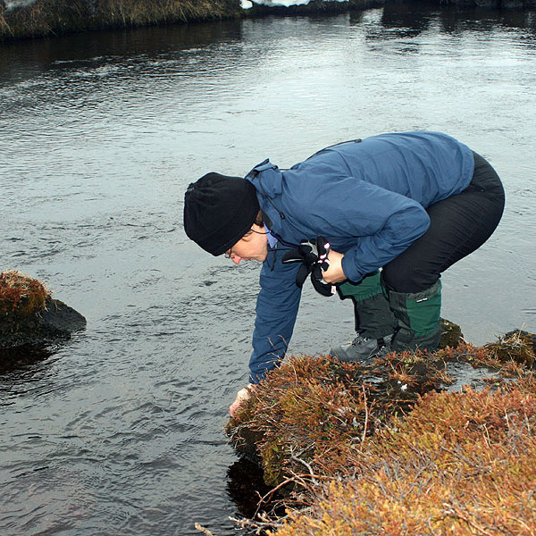 forsida-66-47bcb1e21571b-1