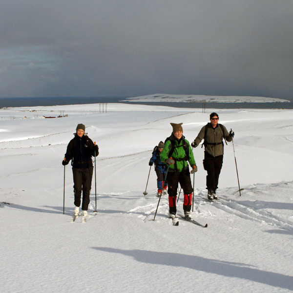 forsida-74-47f9372fa7a87-1