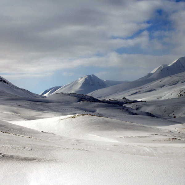 forsida-74-47f93765b9c3e-1