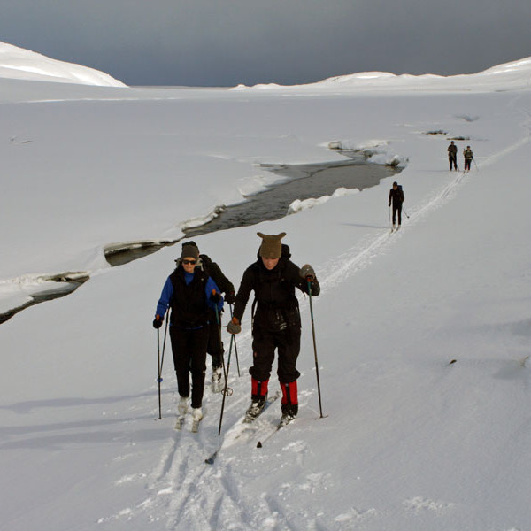 forsida-74-47f937b49fb8a-1