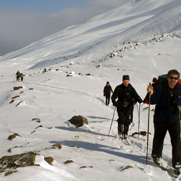 forsida-74-47f937f53b93e-1