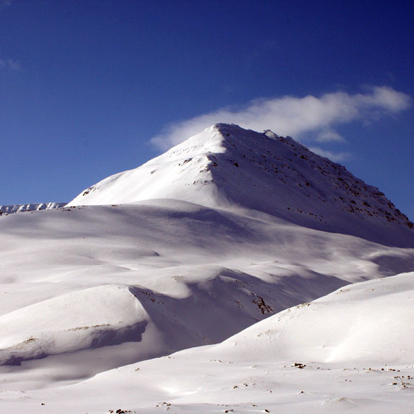 forsida-74-47f9381c3759d-1