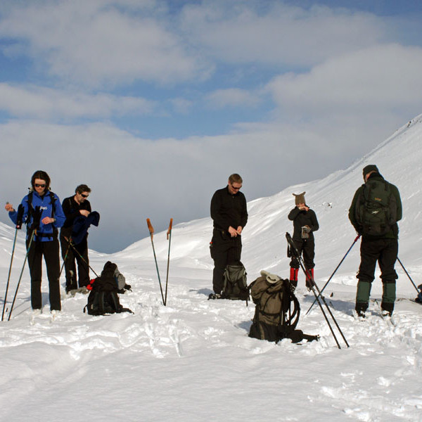 forsida-74-47f9384a7c4dc-1