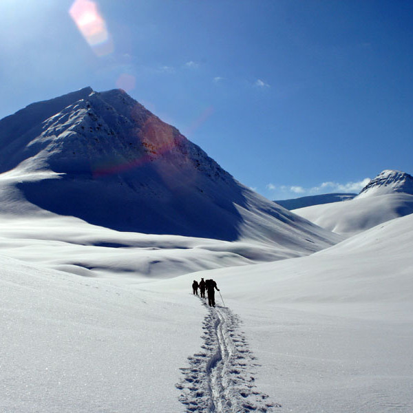 forsida-74-47f9385e243f8-1