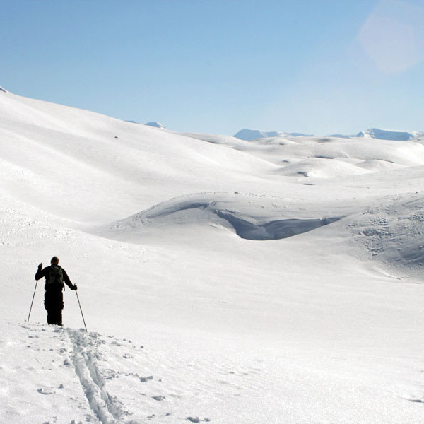 forsida-74-47f938a75f366-1