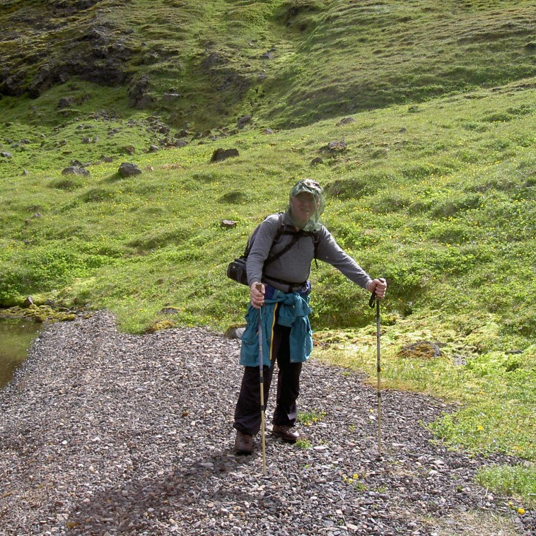 forsida-26-44c6053729a59-1