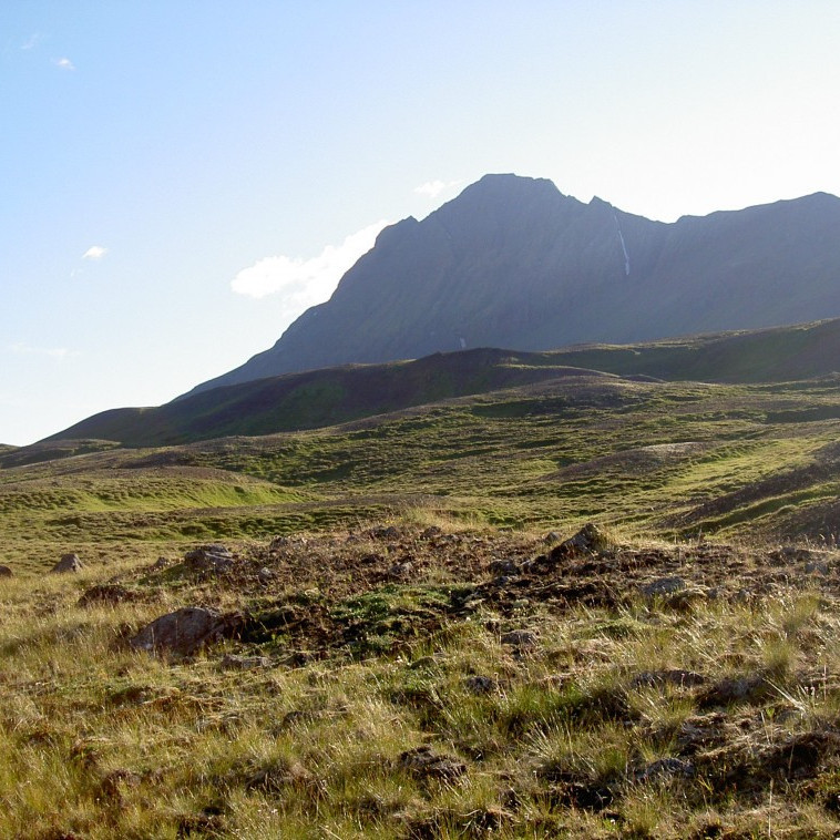 forsida-26-44c608526b2cd-1