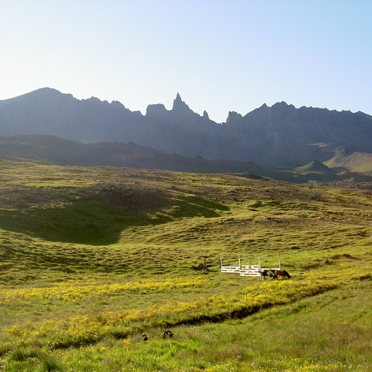 forsida-26-44c60894232a1-1