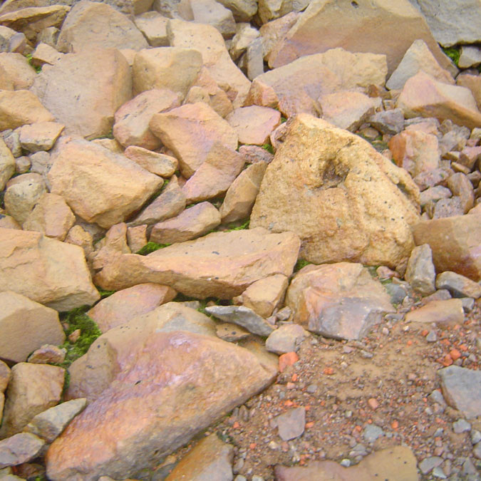 forsida-61-46f1384087b1e-1