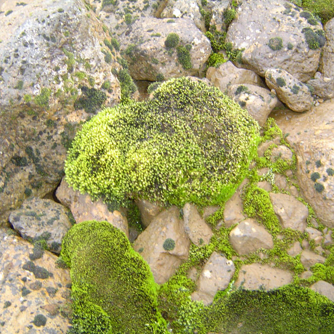 forsida-61-46f1389dbf9c7-1