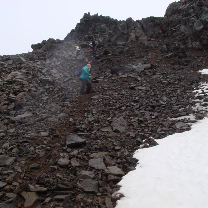 forsida-61-46f1393913d59-1