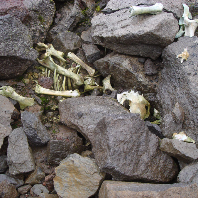 forsida-61-46f139c79abf0-1