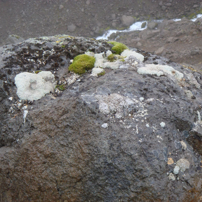 forsida-61-46f13b8d8d94f-1