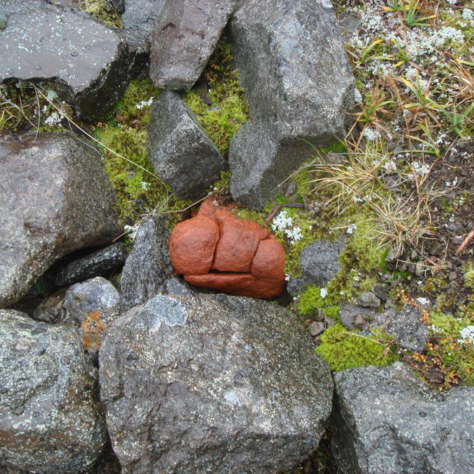 forsida-61-46f13bd38c4de-1