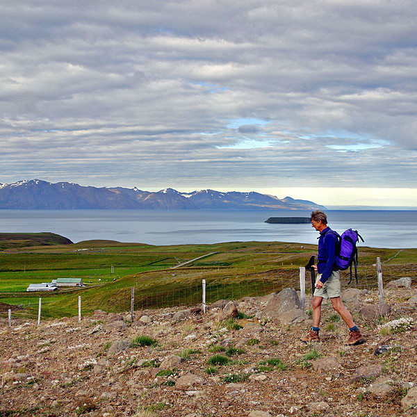 forsida-38-44f6e6dd00fa0-1