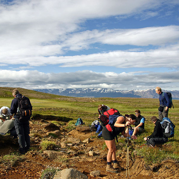 forsida-38-44f6ea77aab17-1