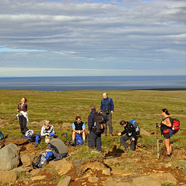 forsida-38-44f6ecc17be66-1