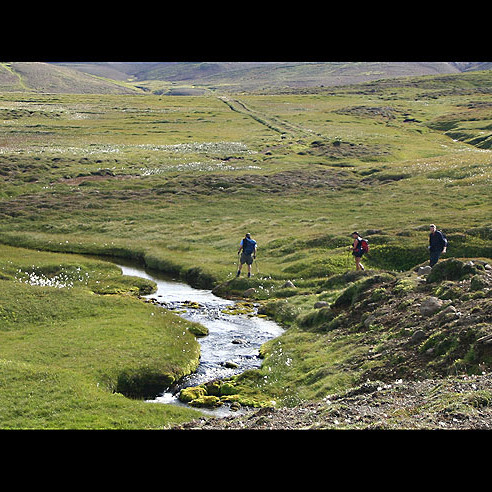 forsida-38-44f6ed92a10a5-1