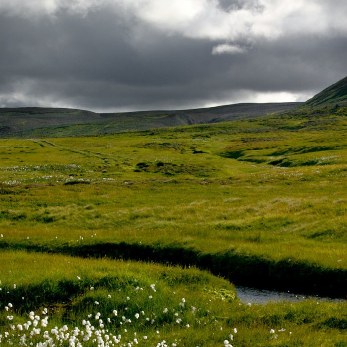 forsida-38-44f6f5f11e5f3-1