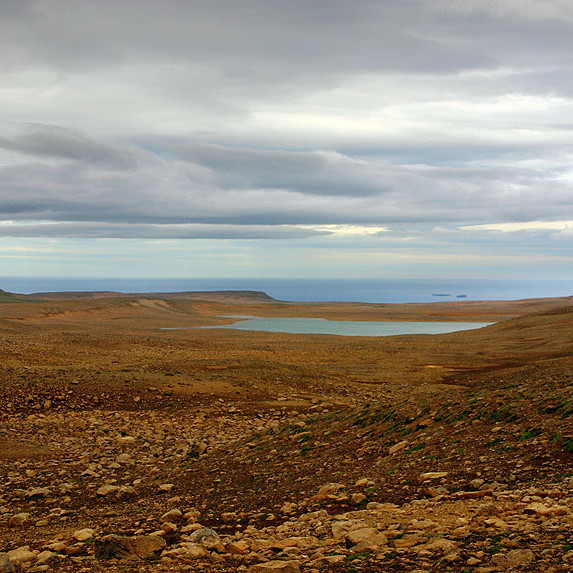 forsida-38-44f6f652000fa-1