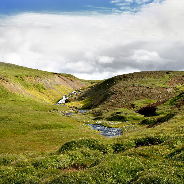 forsida-38-44f6f71bb7416-1