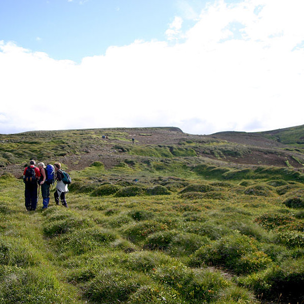 forsida-38-44f6f8b3e7560-1