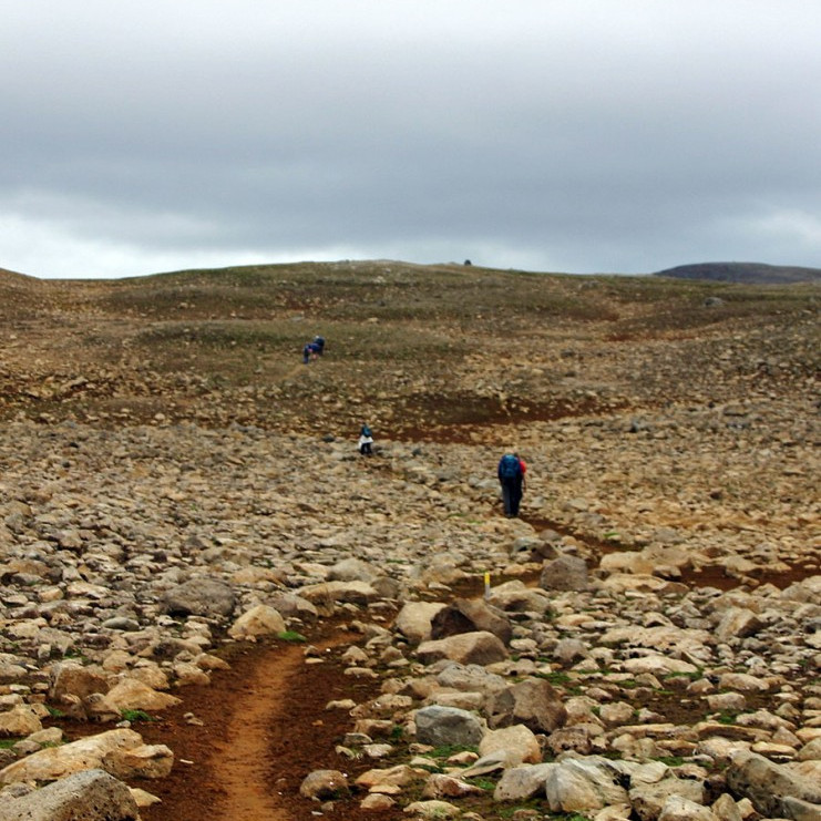 forsida-38-44f6fbe391a4a-1