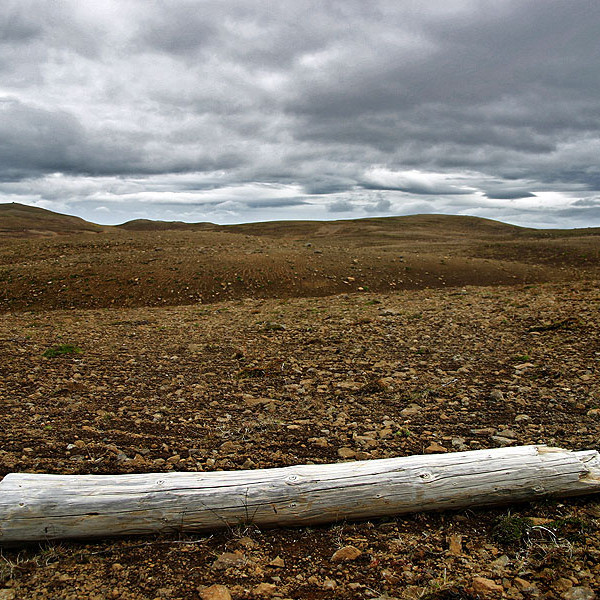 forsida-38-44f6fc4bbad02-1